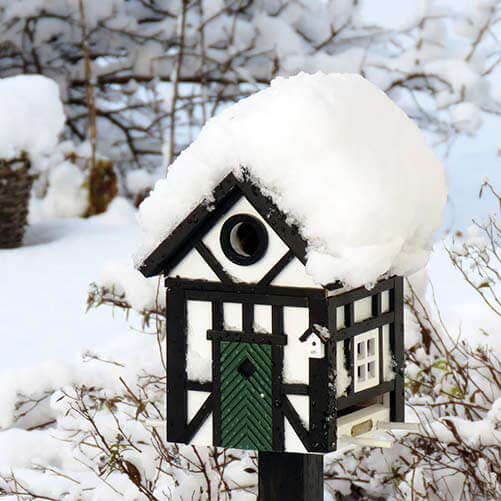 Maison mangeoire ou nichoir pour oiseaux