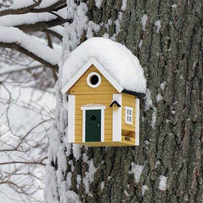 Maison mangeoire ou nichoir pour oiseaux