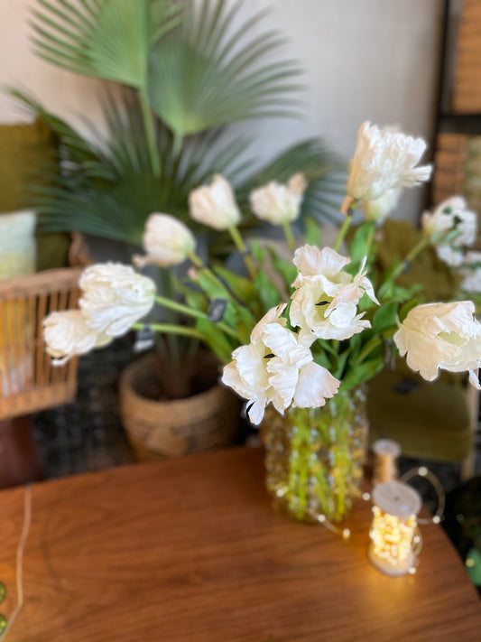 Tulipes perroquet blanches